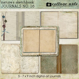 Winter Birch Collection