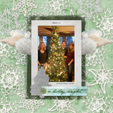 O Christmas Tree Collection