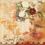 Scarlet Memoirs Collection