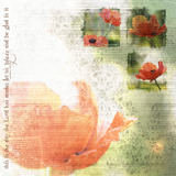 Blanc De Noir Collection