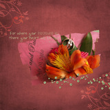 Simply Love Collection