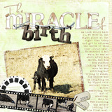 Foto Frames Element Pak