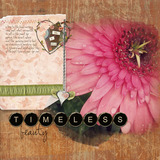 Tattered Love Collection