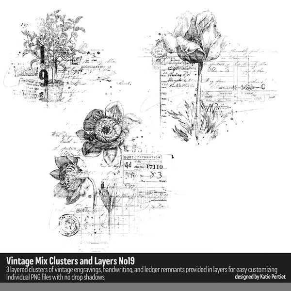 Vintage Mix Clusters Brushes, Stamps and Layers No. 19 Digital Art - Digital Scrapbooking Kits
