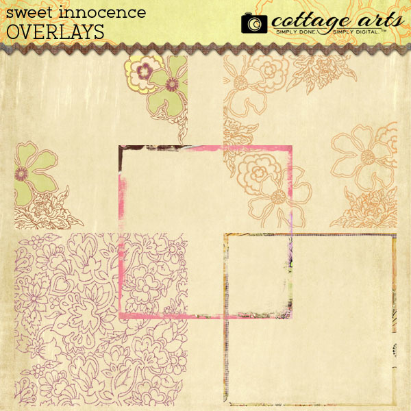 Sweet Innocence Overlays Digital Art - Digital Scrapbooking Kits