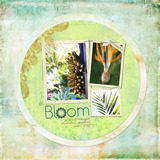 Life Lessons Pre-designed Pages