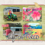 Together in Hope Collection