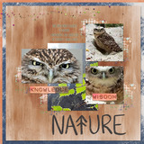 Together in Hope Collection