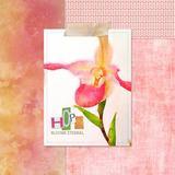 Together in Hope Paper Pak