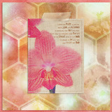 Together in Hope Paper Pak