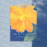 Together in Hope Art Cards