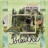 Nature Walk Collection + Bonus