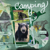 Nature Walk Collection