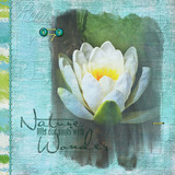 Tropic Blues Collection