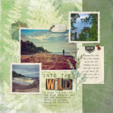 Into the Wild Paper Pak