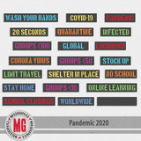 Pandemic 2020 Bundle