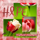 Have Courage Collection