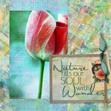 Planting Hope Paper Pak