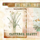 Planting Hope Scrap.Words