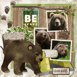 Into the Wild AlphaSet