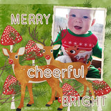 Into the Wild AlphaSet