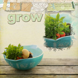 Simply Friendship Collection