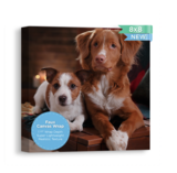 1.5" Faux Canvas Wrap (8 x 8)