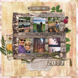 In My Garden Collection