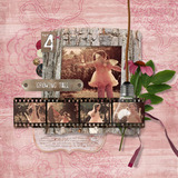 In My Garden Collection