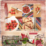 In My Garden Collection