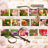 In My Garden Collection