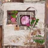 In My Garden Collection