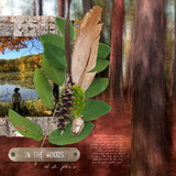 In My Garden Collection