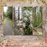 Artistic License Slatted Bonus Bundle 12x12