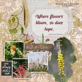 Artistic License Bonus Bundle 5