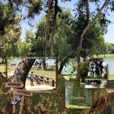 Artistic License Bonus Bundle 5