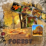 Artistic License Bonus Bundle 6