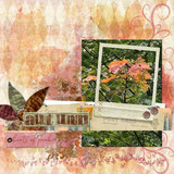 Embrace Nature Collection