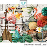 Between Sea and Land Bundle