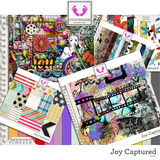 Joy Captured Bundle