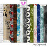 Joy Captured Bundle