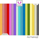 Joy Captured Bundle