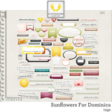 Sunflowers For Dominica Bundle