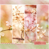 Simply Painted 2 SLF Mega Paper Pak