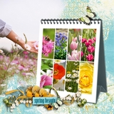 Artistic License All Mixed Up Bonus Bundle 12x12