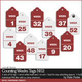 Counting Weeks Tags 02