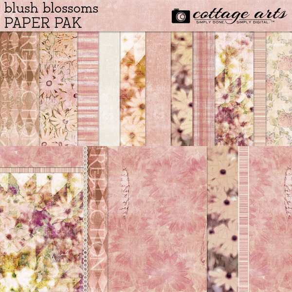Blush Blossoms Paper Pak Digital Art