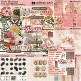 Blush Blossoms Paper Pak