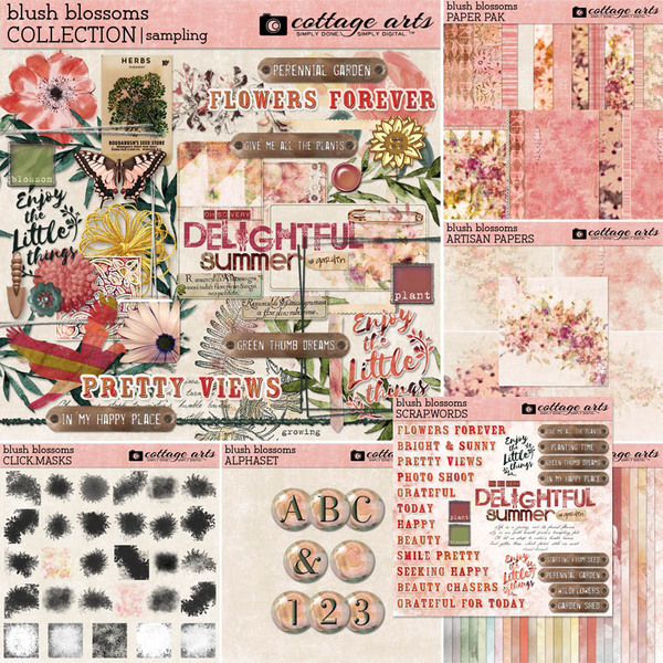 Blush Blossoms Painted Papers Digital Art