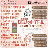 Blush Blossoms Scrap.Words